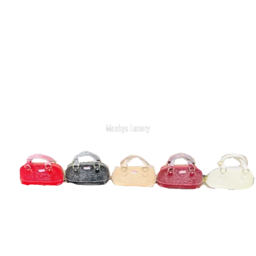 IMG_2873 Luxury Elegant Dome Top Handle Handbag