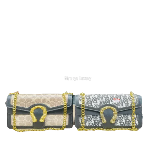 IMG_2893 Luxury Elegant Chain Strap Crossbody Shoulder Bag