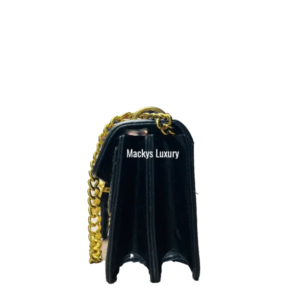 IMG_2896 Luxury Elegant Chain Strap Crossbody Shoulder Bag